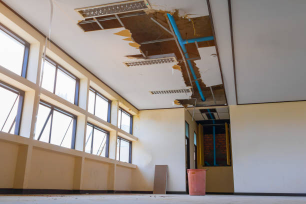 Best Flood restoration services  in Pagedale, MO