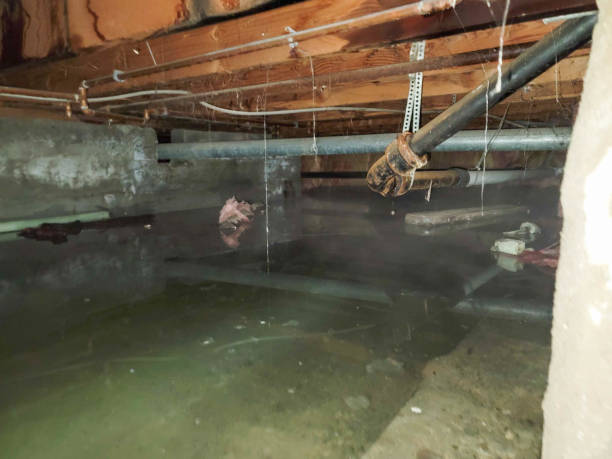 Best Water damage restoration near me  in Pagedale, MO