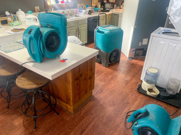 Best Water damage contractors near me  in Pagedale, MO