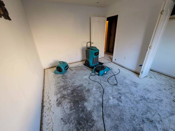 Best Ceiling water damage repair  in Pagedale, MO