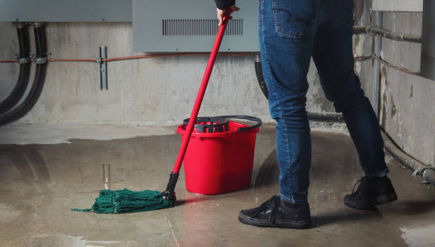 Best 24/7 water damage repair  in Pagedale, MO