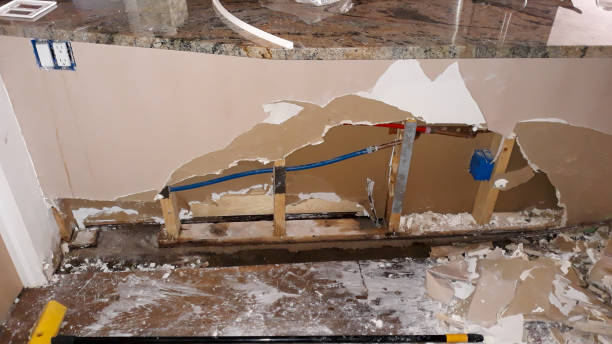 Best Water damage repair service  in Pagedale, MO