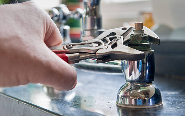 Best Flood damage cleanup  in Pagedale, MO