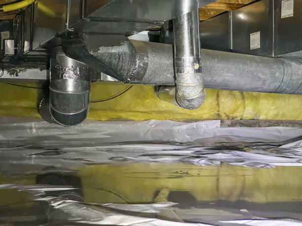 Best Basement water damage restoration  in Pagedale, MO