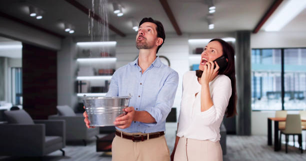 Best Sewage cleanup and water damage restoration  in Pagedale, MO